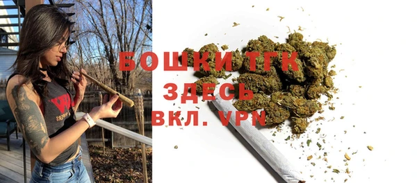 спиды Алексеевка