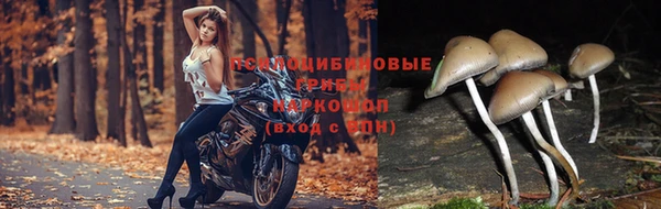 COCAINE Алексин